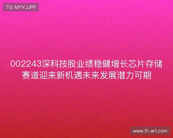 002243深科技股业绩稳健增长芯片存储赛道迎来新机遇未来发展潜力可期